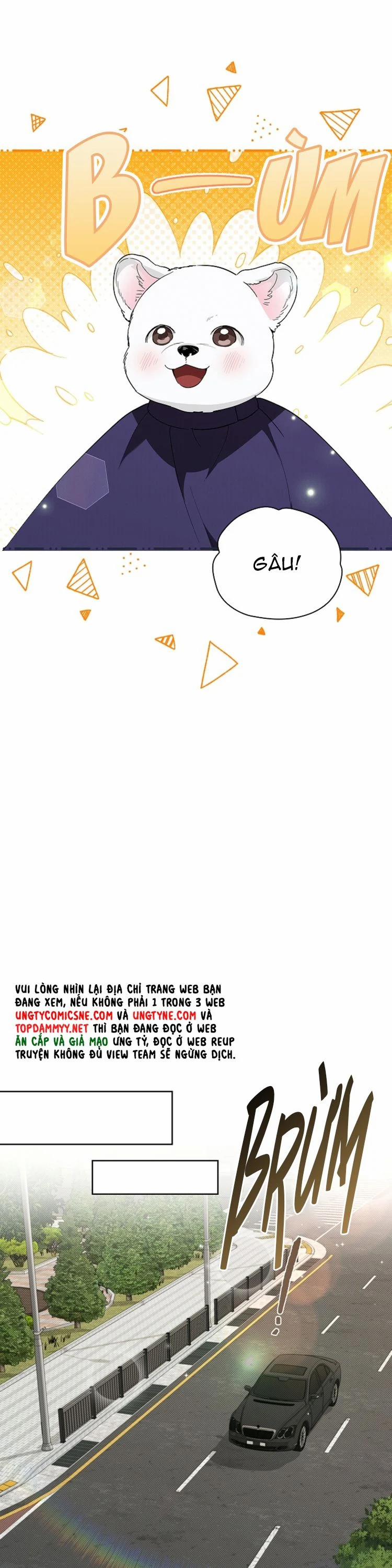 ĐỪNG CHẠM VÀO CÚN CON CỦA TÔI 28 trang 19
