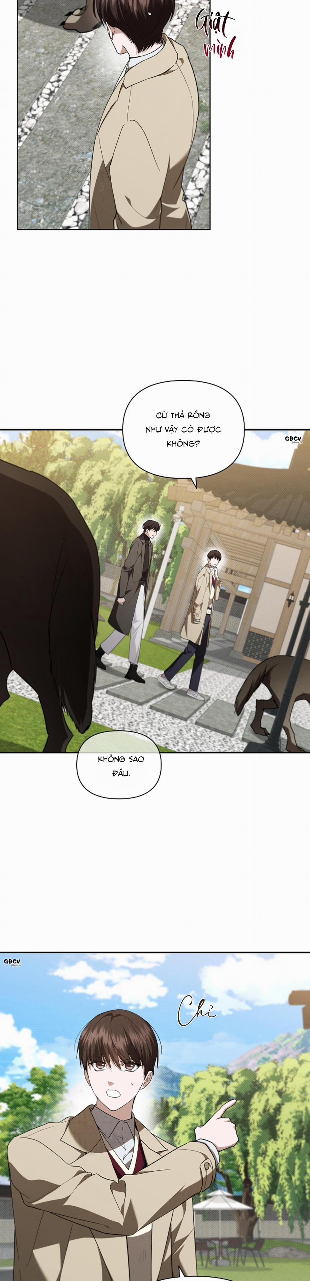 ĐỪNG CHẠM VÀO CÚN CON CỦA TÔI 29 trang 1