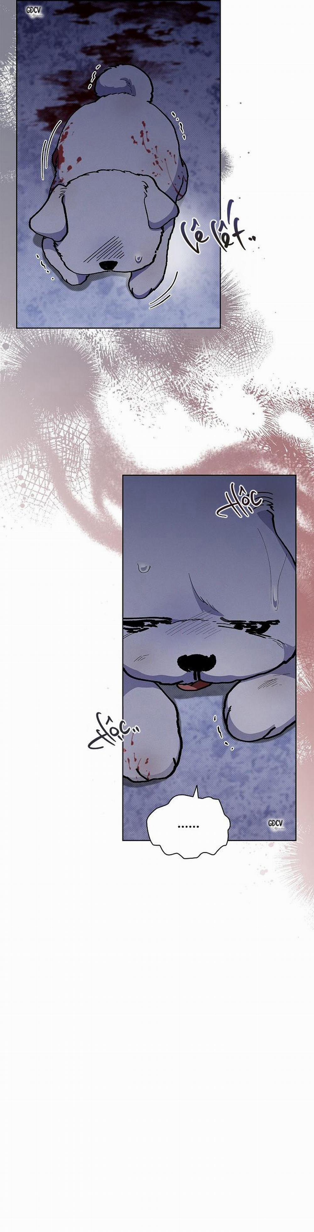 ĐỪNG CHẠM VÀO CÚN CON CỦA TÔI 3 trang 24