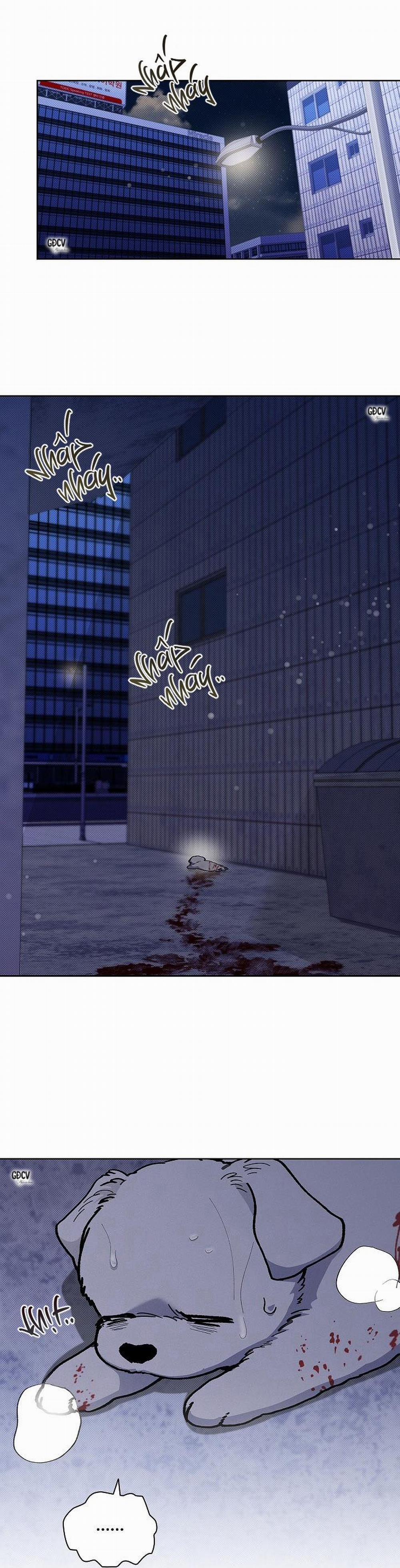 ĐỪNG CHẠM VÀO CÚN CON CỦA TÔI 3 trang 25