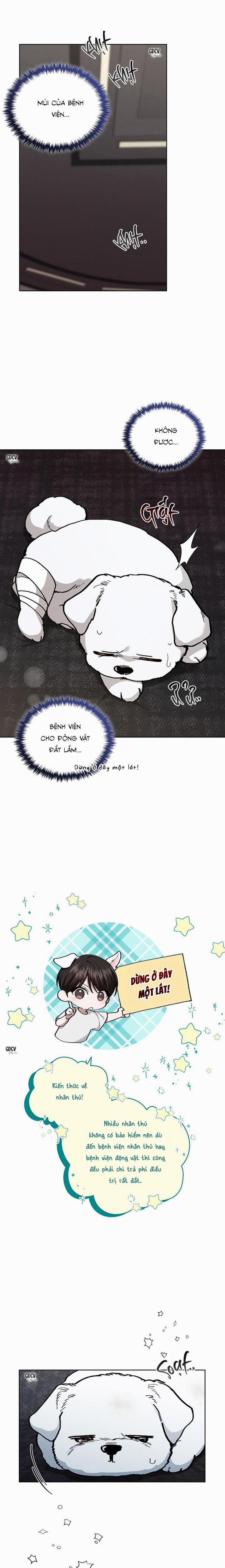 ĐỪNG CHẠM VÀO CÚN CON CỦA TÔI 3 trang 31