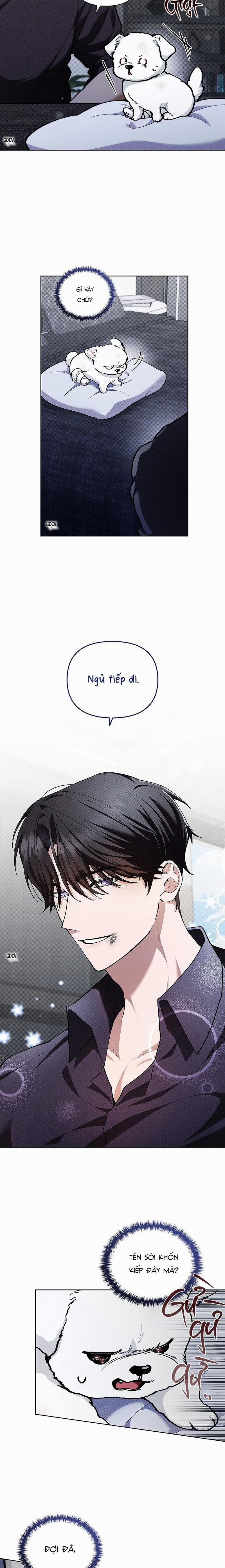 ĐỪNG CHẠM VÀO CÚN CON CỦA TÔI 3 trang 33
