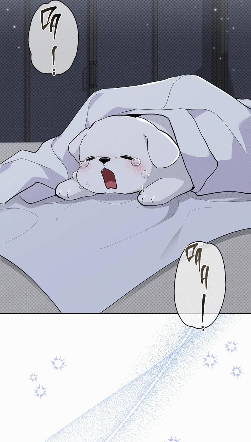 ĐỪNG CHẠM VÀO CÚN CON CỦA TÔI 30 END SS1 trang 38