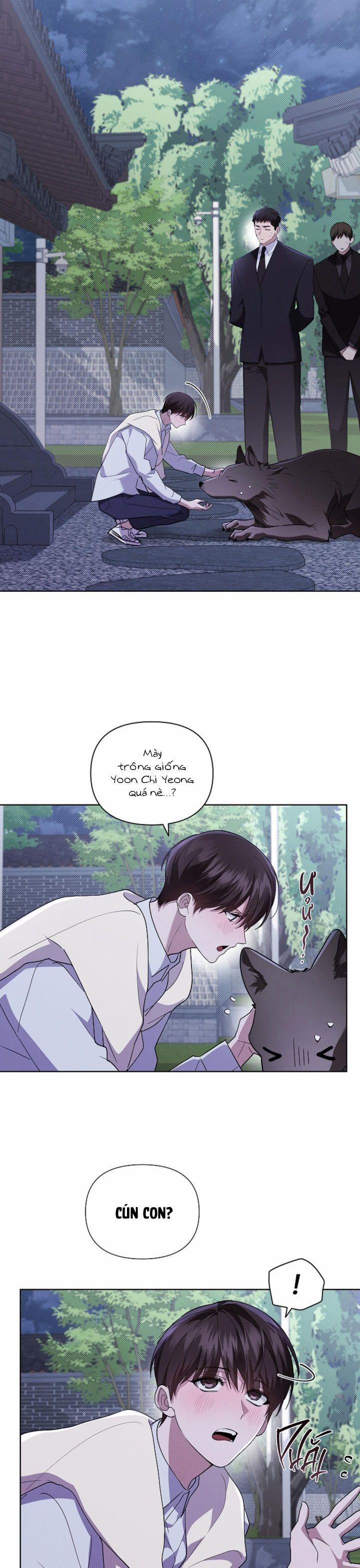 ĐỪNG CHẠM VÀO CÚN CON CỦA TÔI 30 trang 1