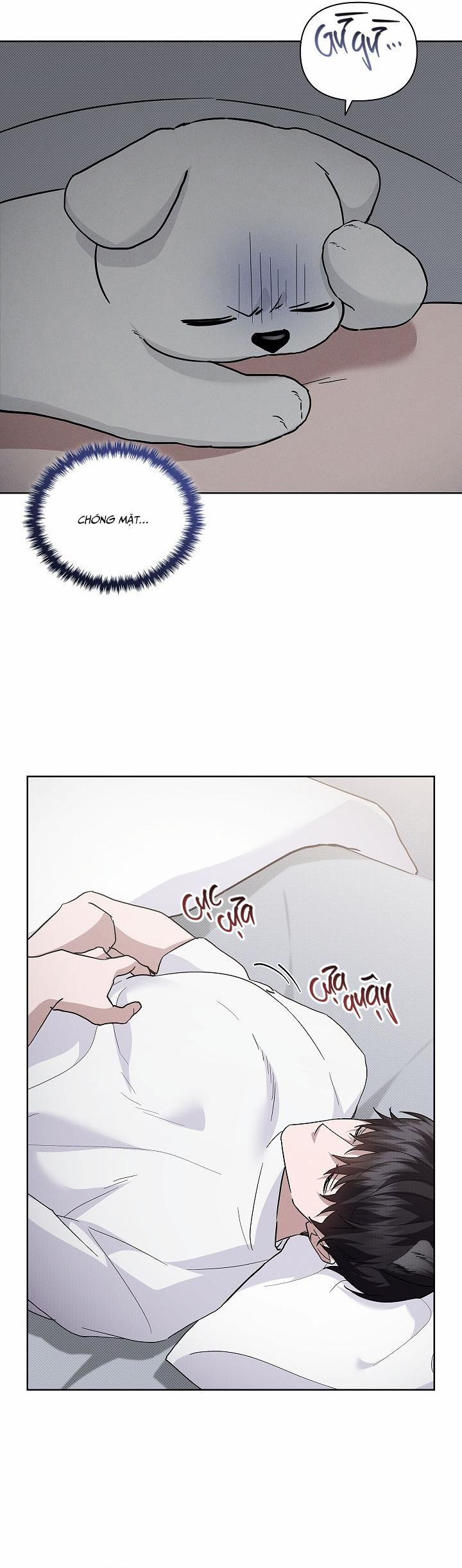 ĐỪNG CHẠM VÀO CÚN CON CỦA TÔI 32 trang 1