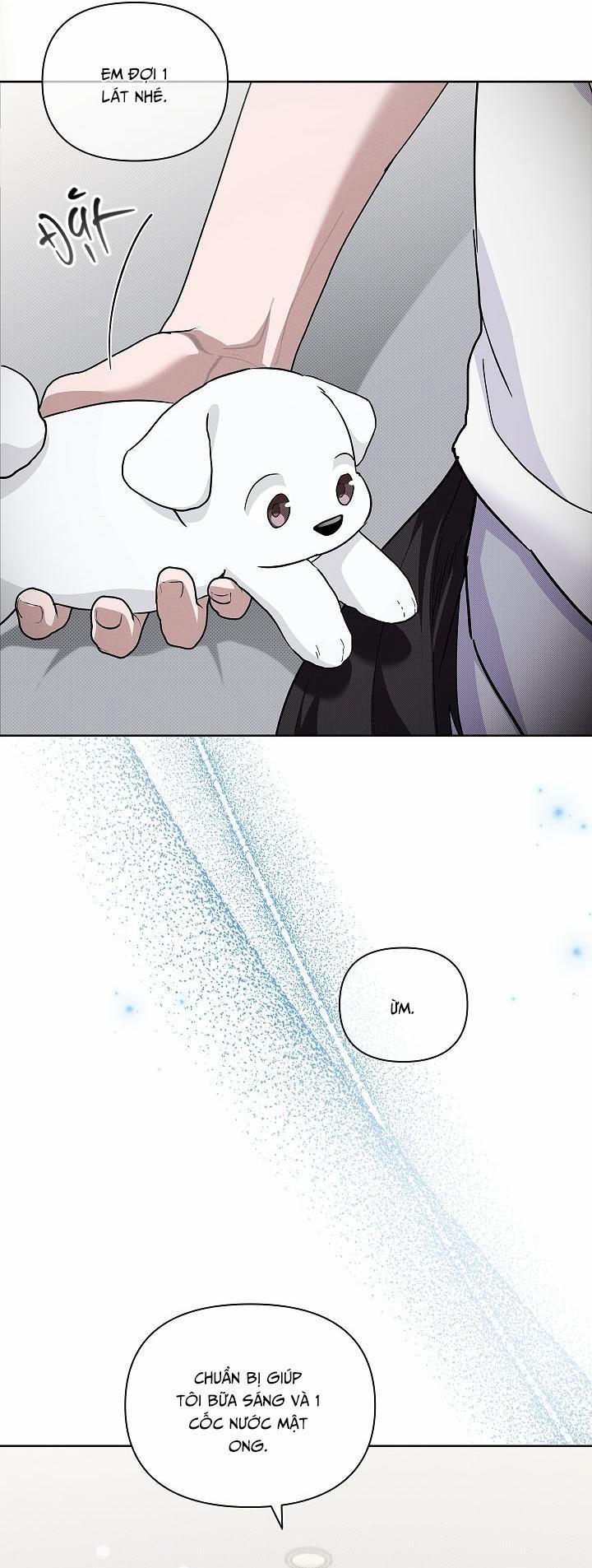 ĐỪNG CHẠM VÀO CÚN CON CỦA TÔI 32 trang 10