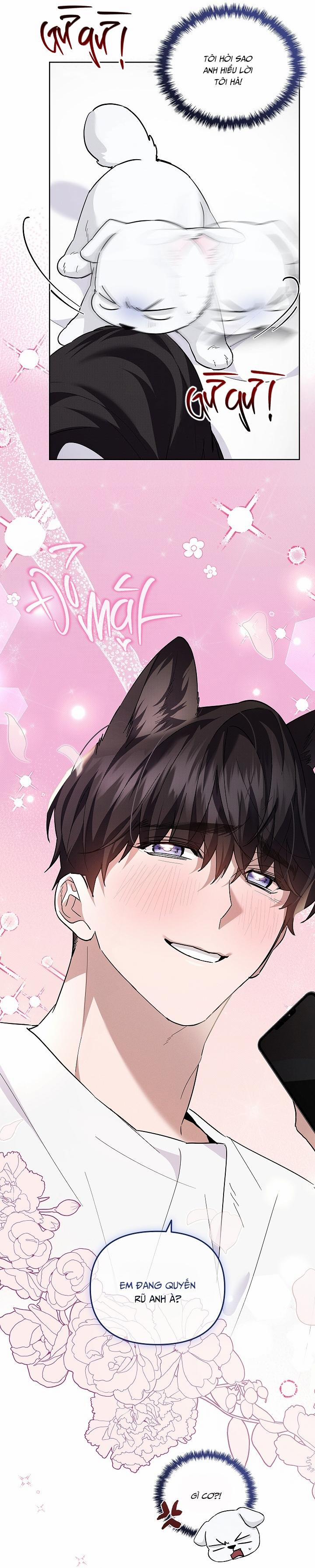 ĐỪNG CHẠM VÀO CÚN CON CỦA TÔI 32 trang 12