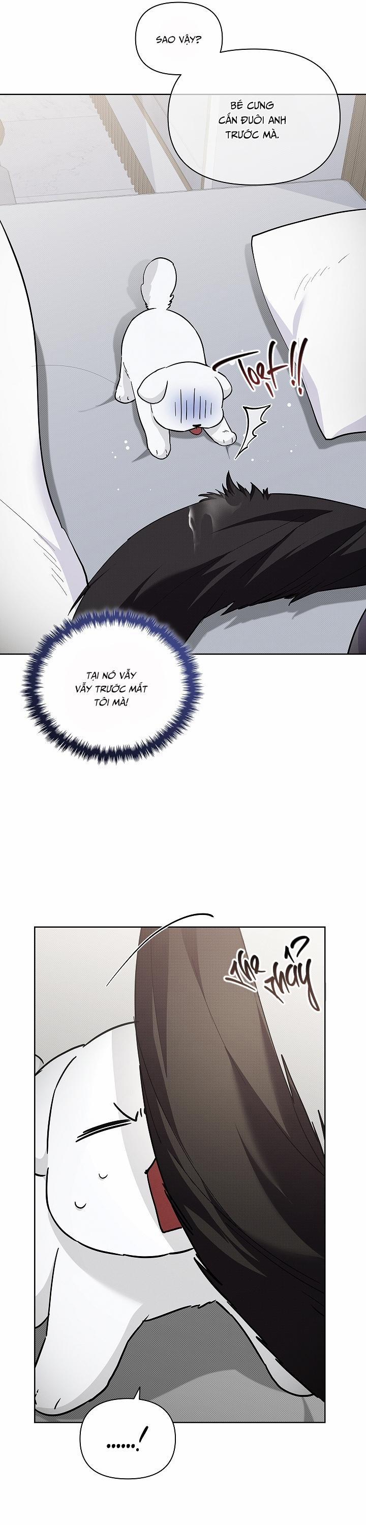 ĐỪNG CHẠM VÀO CÚN CON CỦA TÔI 32 trang 14