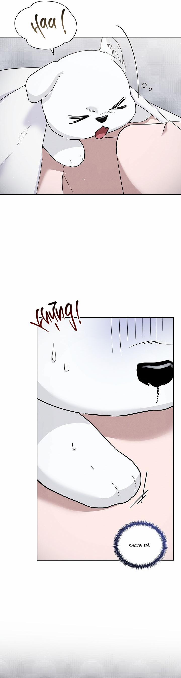 ĐỪNG CHẠM VÀO CÚN CON CỦA TÔI 32 trang 2