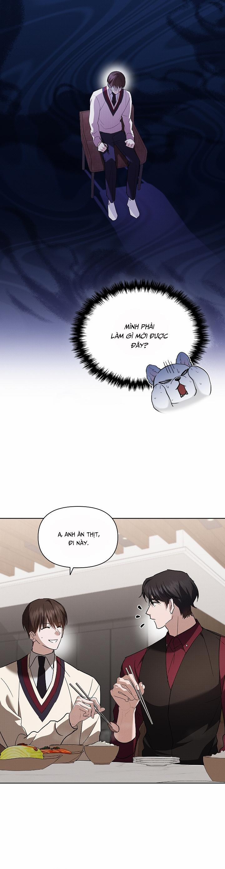 ĐỪNG CHẠM VÀO CÚN CON CỦA TÔI 32 trang 36