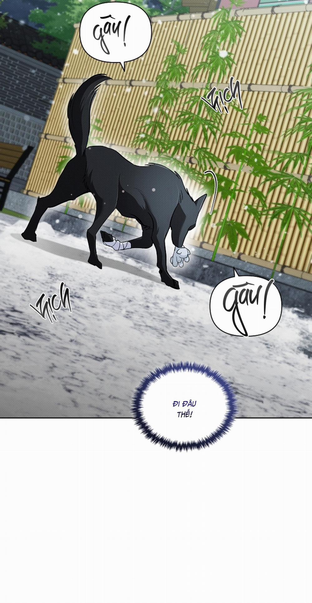 ĐỪNG CHẠM VÀO CÚN CON CỦA TÔI 34 H+ trang 19