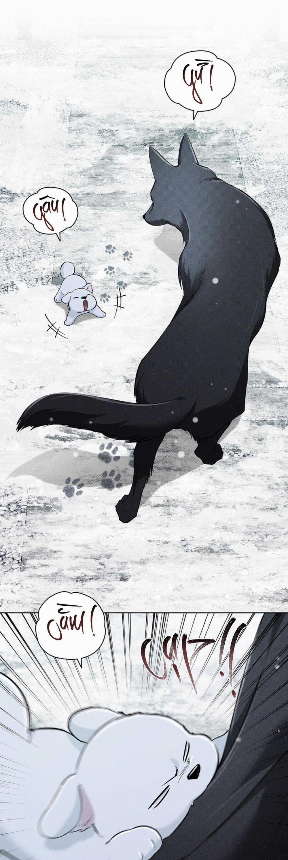 ĐỪNG CHẠM VÀO CÚN CON CỦA TÔI 34 trang 2