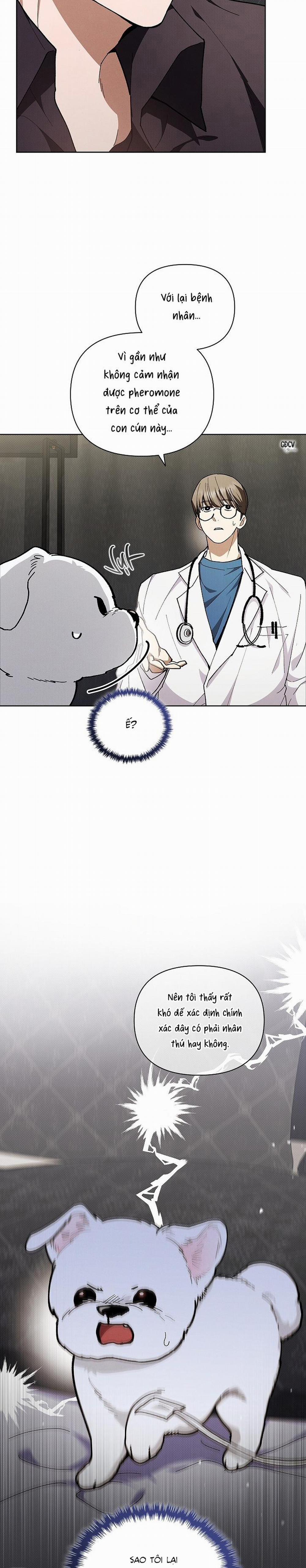 ĐỪNG CHẠM VÀO CÚN CON CỦA TÔI 4 trang 1