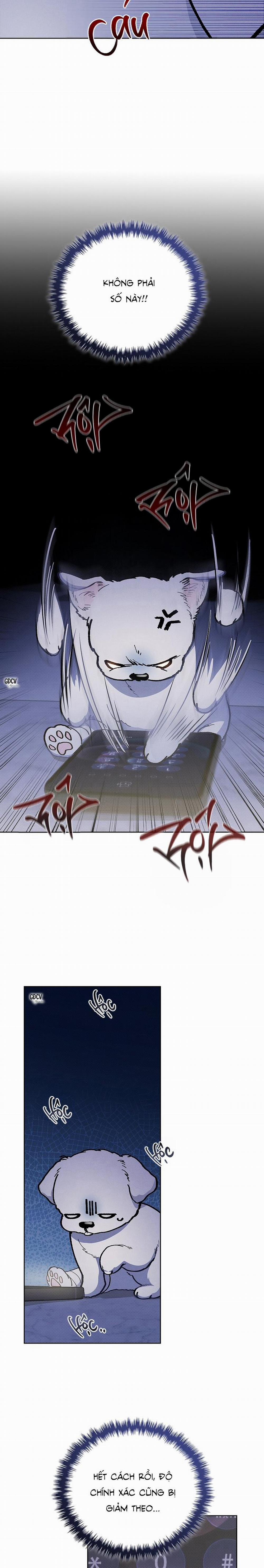 ĐỪNG CHẠM VÀO CÚN CON CỦA TÔI 4 trang 12