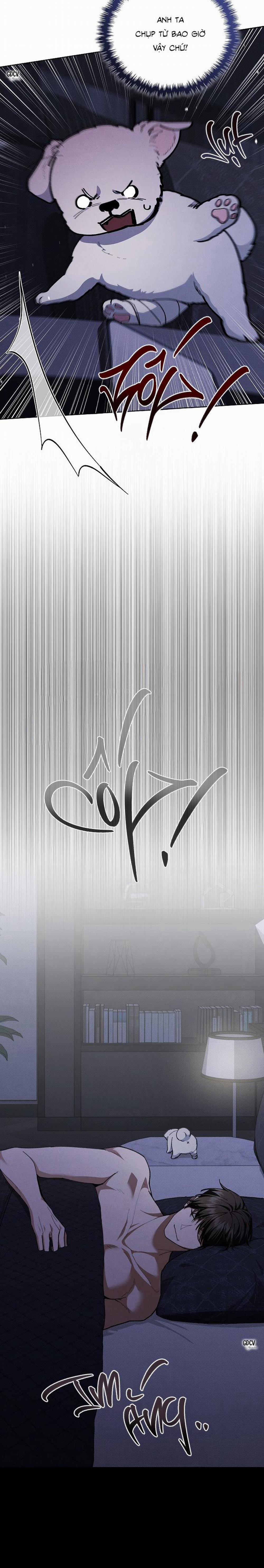 ĐỪNG CHẠM VÀO CÚN CON CỦA TÔI 4 trang 14
