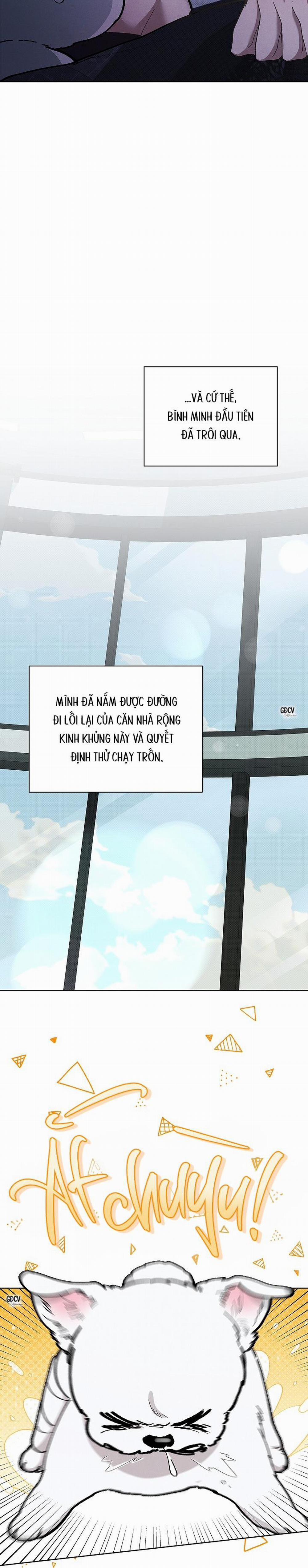 ĐỪNG CHẠM VÀO CÚN CON CỦA TÔI 4 trang 19