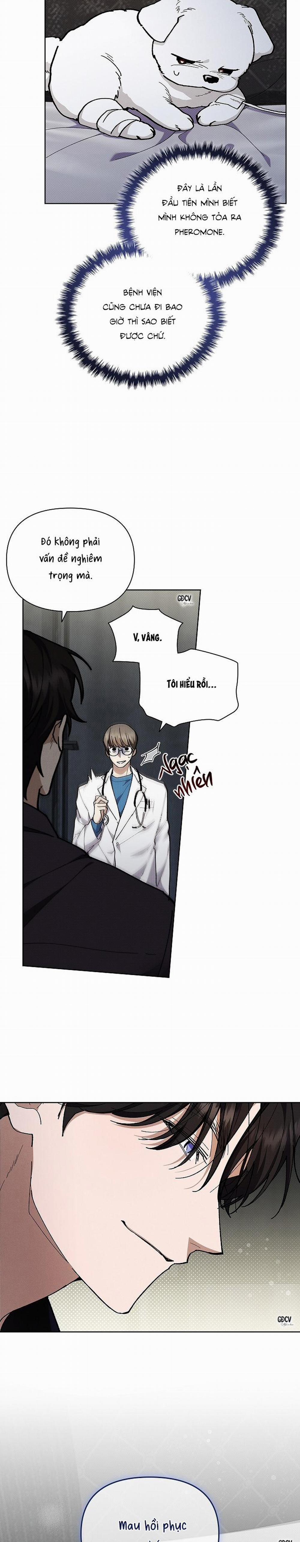 ĐỪNG CHẠM VÀO CÚN CON CỦA TÔI 4 trang 3