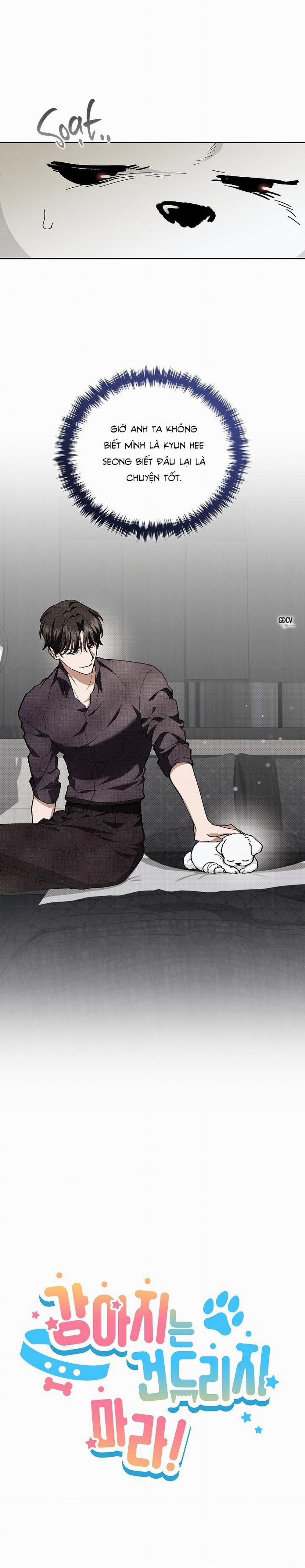 ĐỪNG CHẠM VÀO CÚN CON CỦA TÔI 4 trang 5
