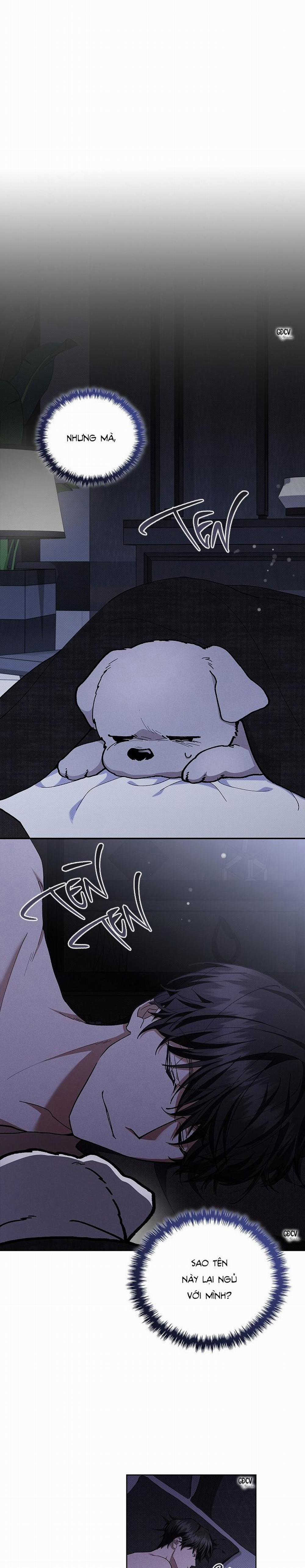 ĐỪNG CHẠM VÀO CÚN CON CỦA TÔI 4 trang 6