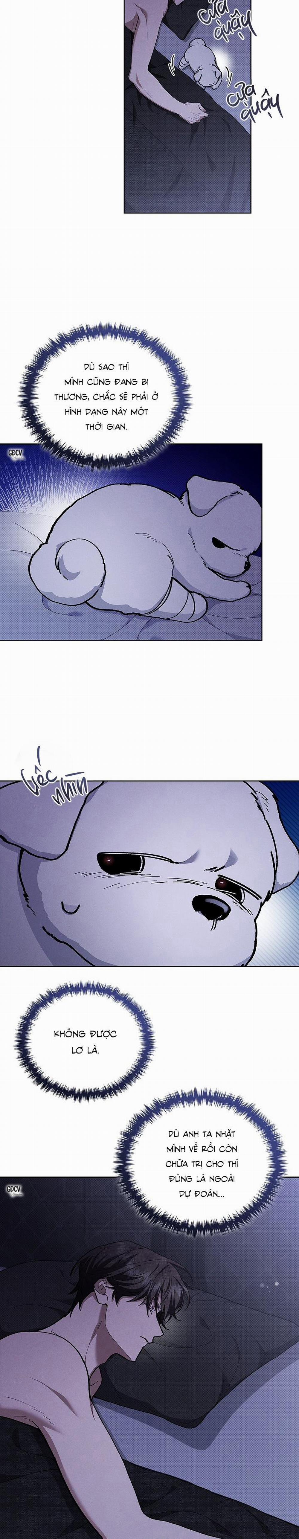 ĐỪNG CHẠM VÀO CÚN CON CỦA TÔI 4 trang 7