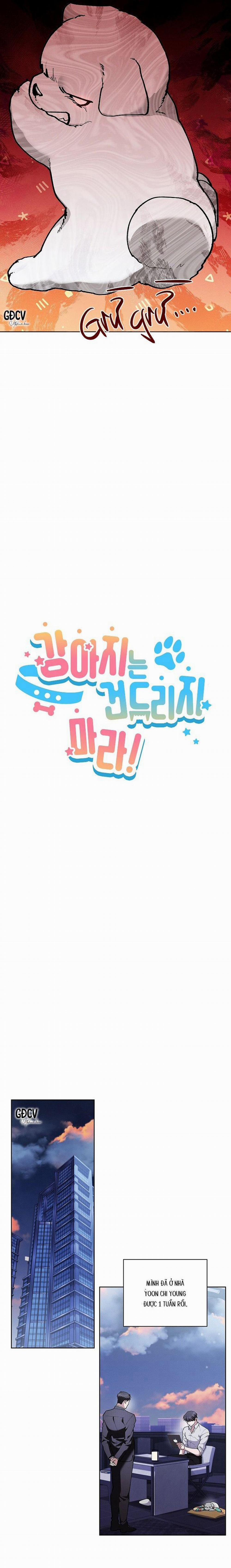 ĐỪNG CHẠM VÀO CÚN CON CỦA TÔI 6 trang 12