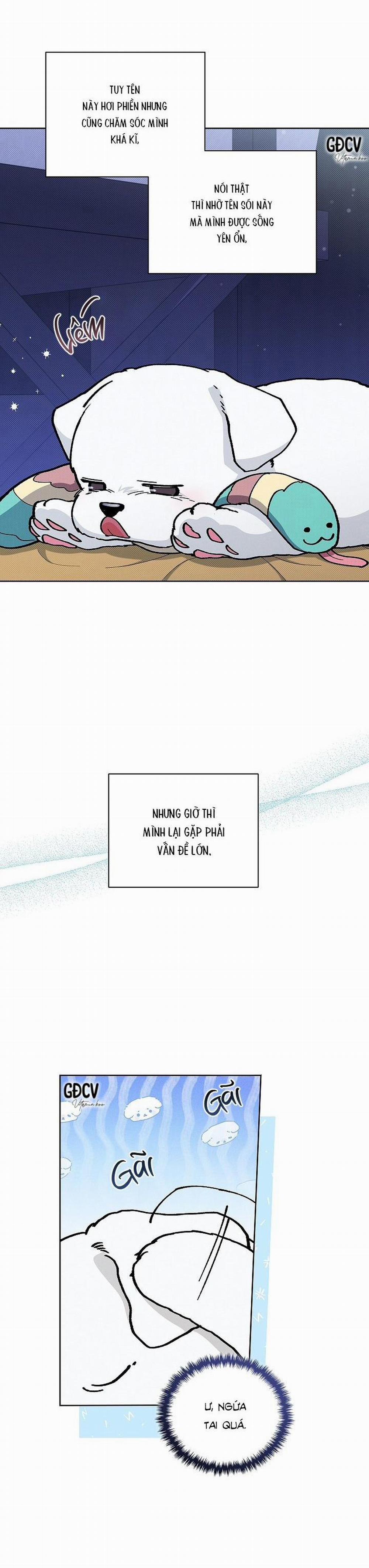 ĐỪNG CHẠM VÀO CÚN CON CỦA TÔI 6 trang 13