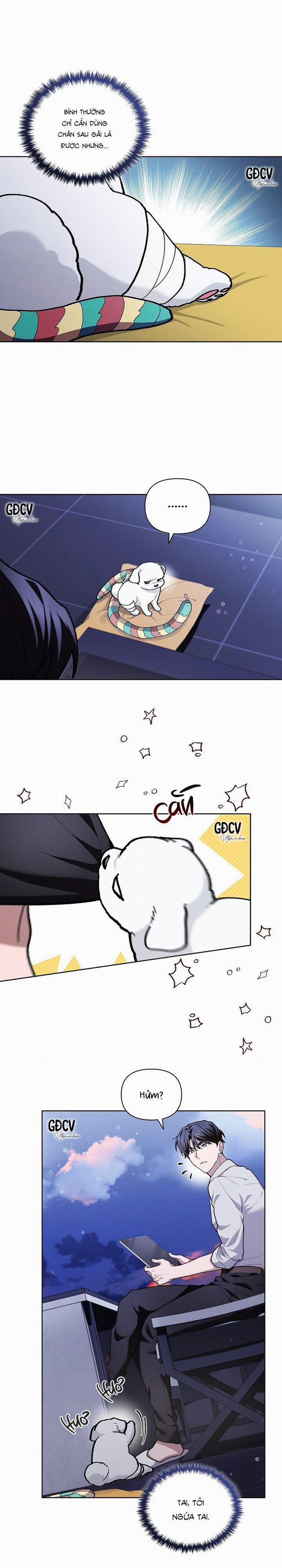 ĐỪNG CHẠM VÀO CÚN CON CỦA TÔI 6 trang 14
