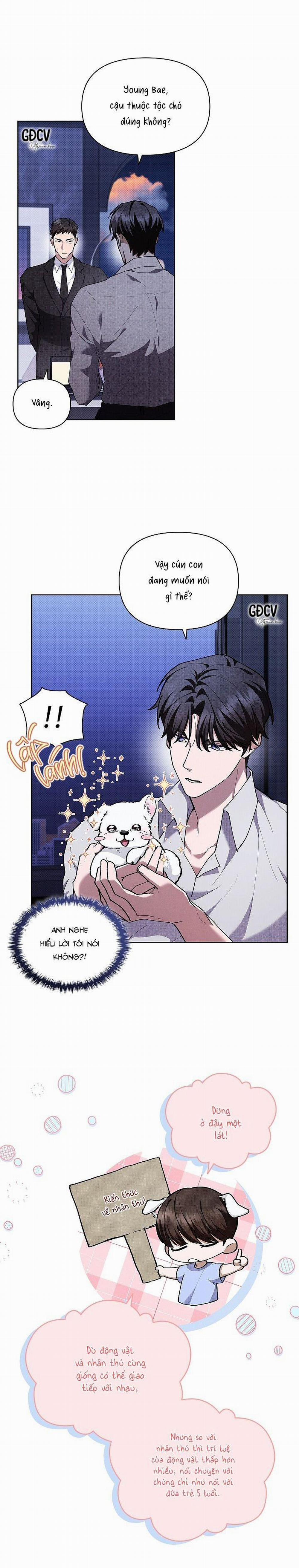 ĐỪNG CHẠM VÀO CÚN CON CỦA TÔI 6 trang 17