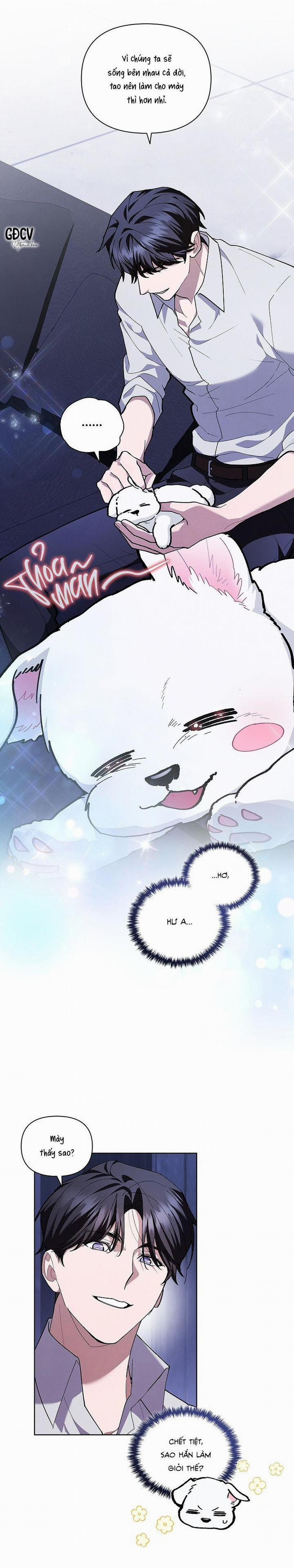ĐỪNG CHẠM VÀO CÚN CON CỦA TÔI 6 trang 22