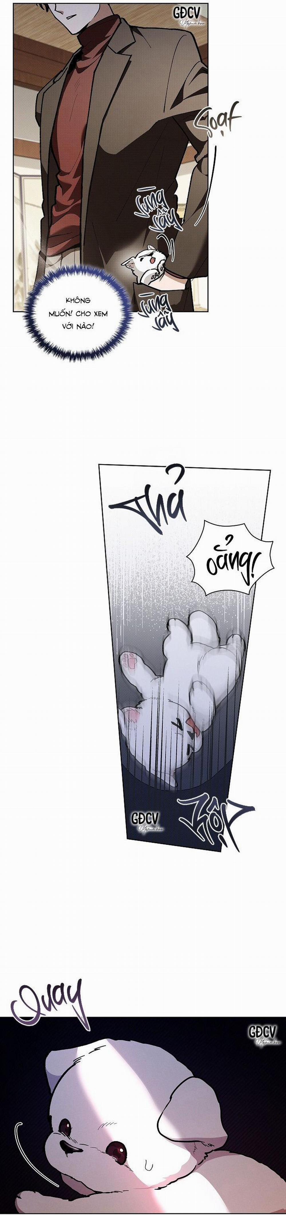 ĐỪNG CHẠM VÀO CÚN CON CỦA TÔI 6 trang 7