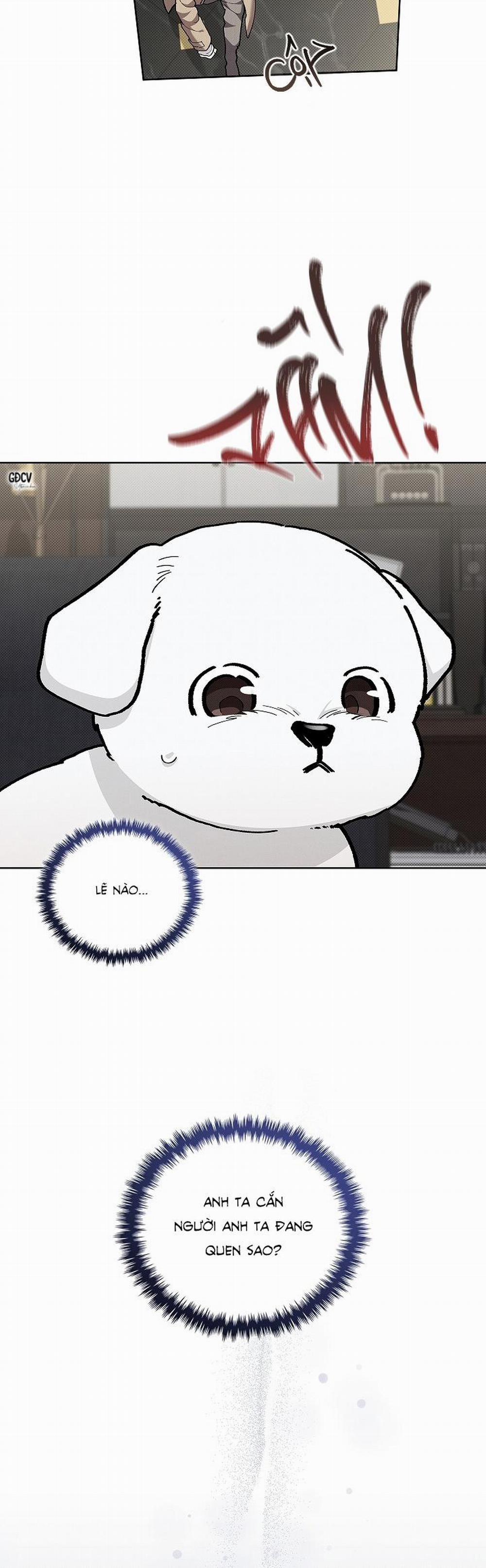 ĐỪNG CHẠM VÀO CÚN CON CỦA TÔI 8 trang 18