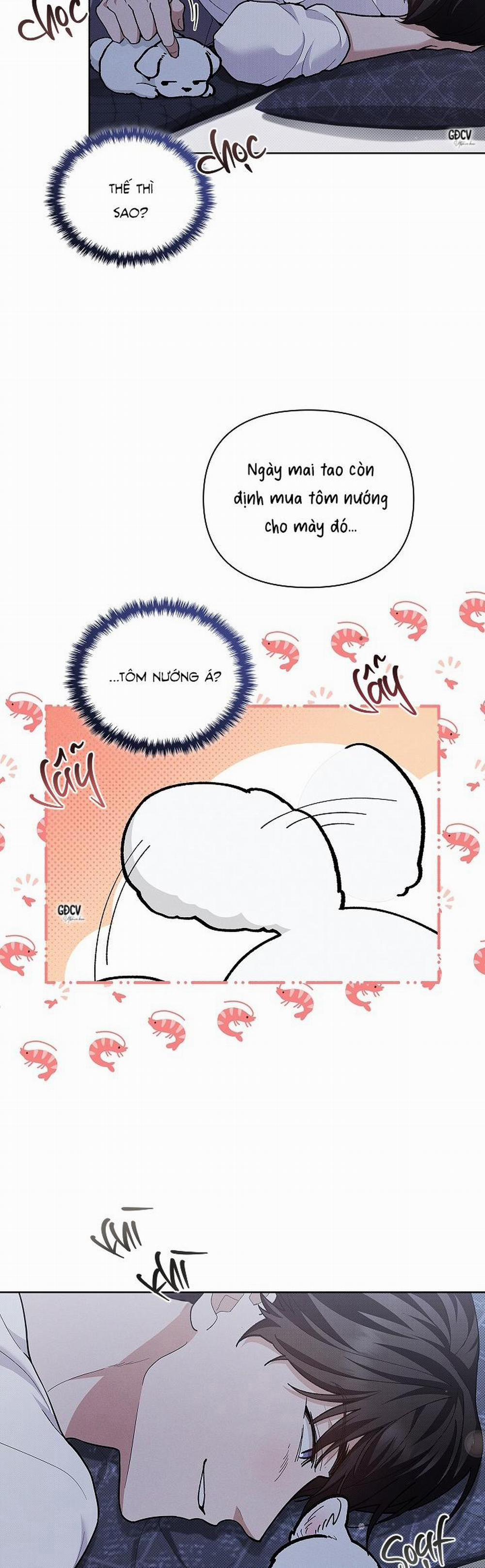 ĐỪNG CHẠM VÀO CÚN CON CỦA TÔI 8 trang 22