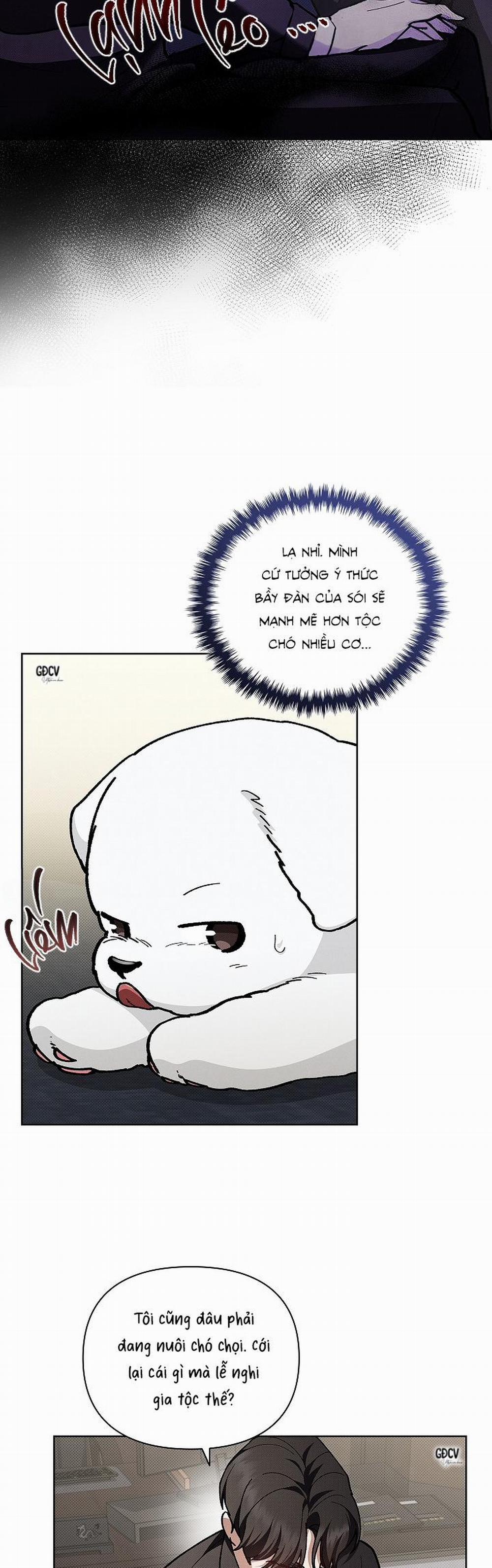 ĐỪNG CHẠM VÀO CÚN CON CỦA TÔI 8 trang 9