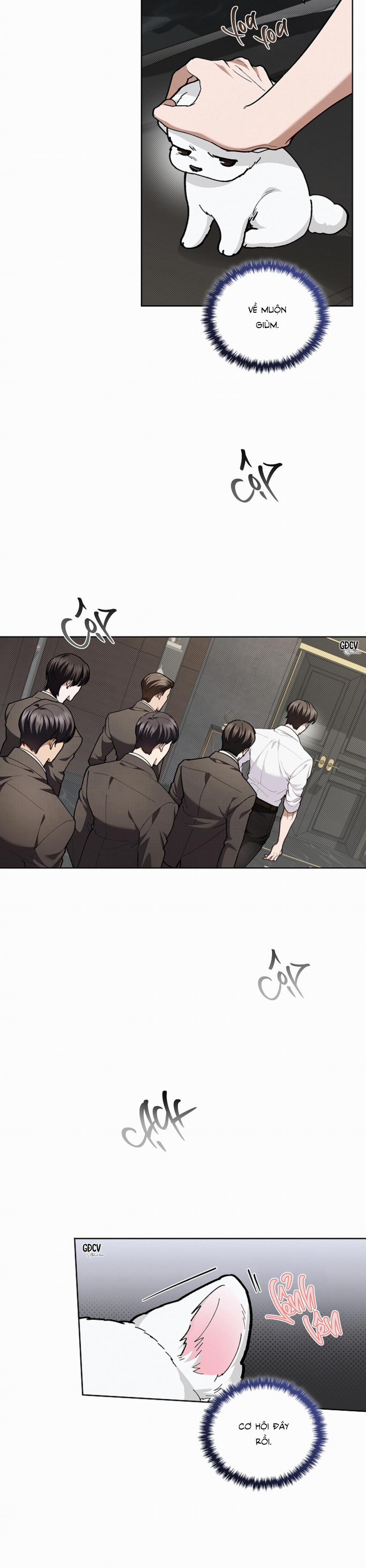 ĐỪNG CHẠM VÀO CÚN CON CỦA TÔI 9 trang 17