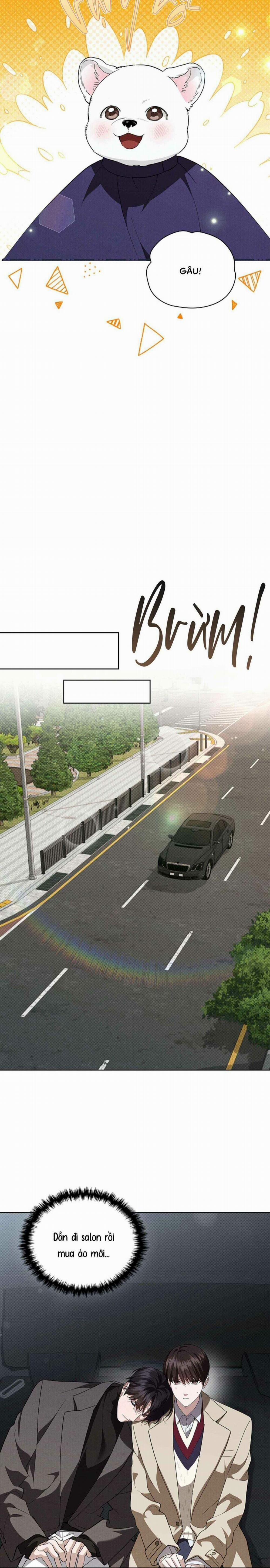 Đừng Chạm Vào Cún Con 28 trang 13