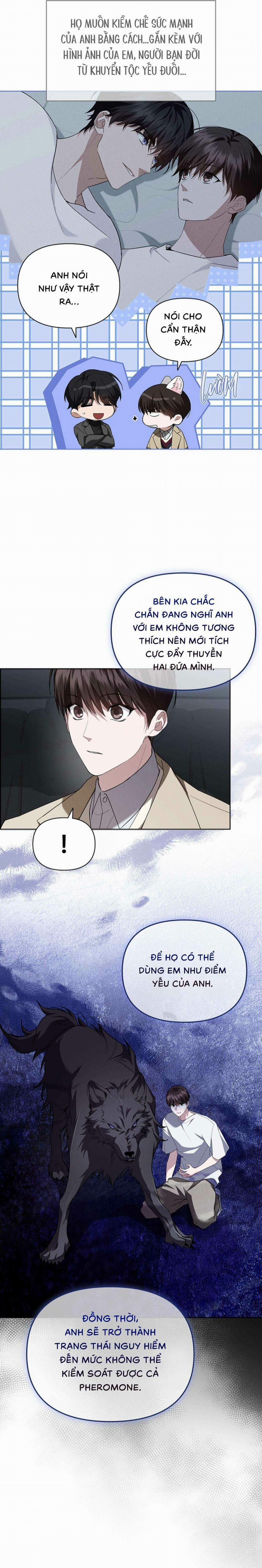 Đừng Chạm Vào Cún Con 28 trang 15