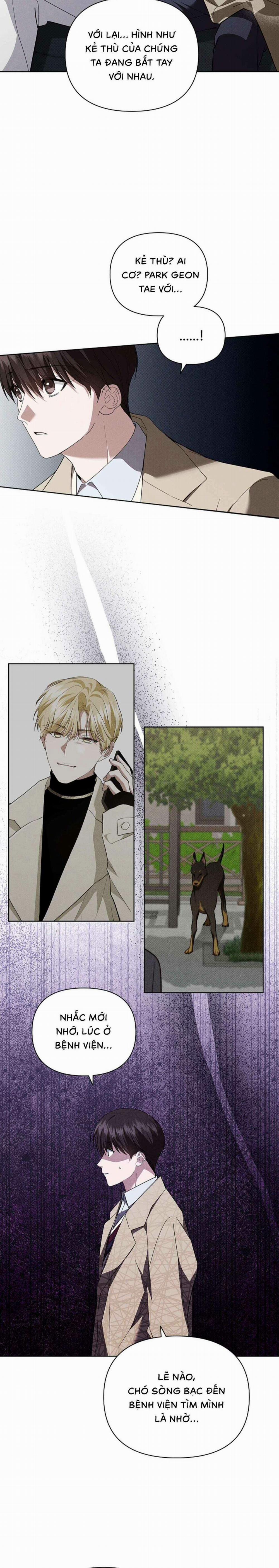 Đừng Chạm Vào Cún Con 28 trang 17