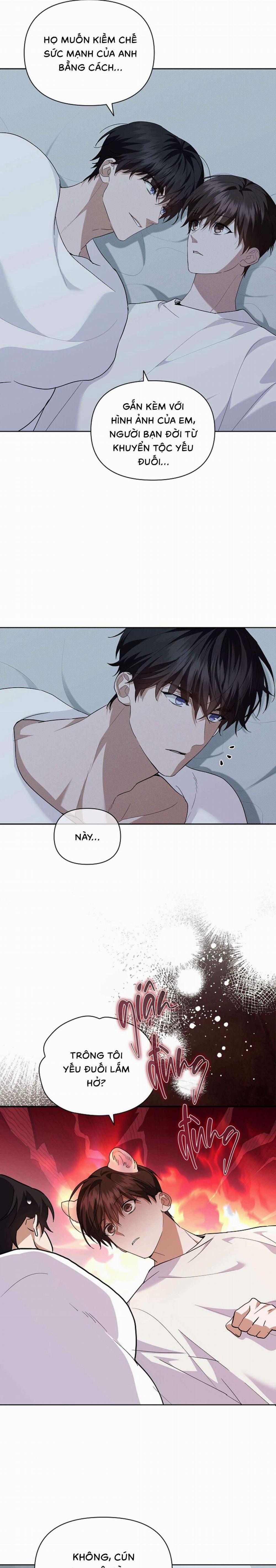 Đừng Chạm Vào Cún Con 28 trang 3