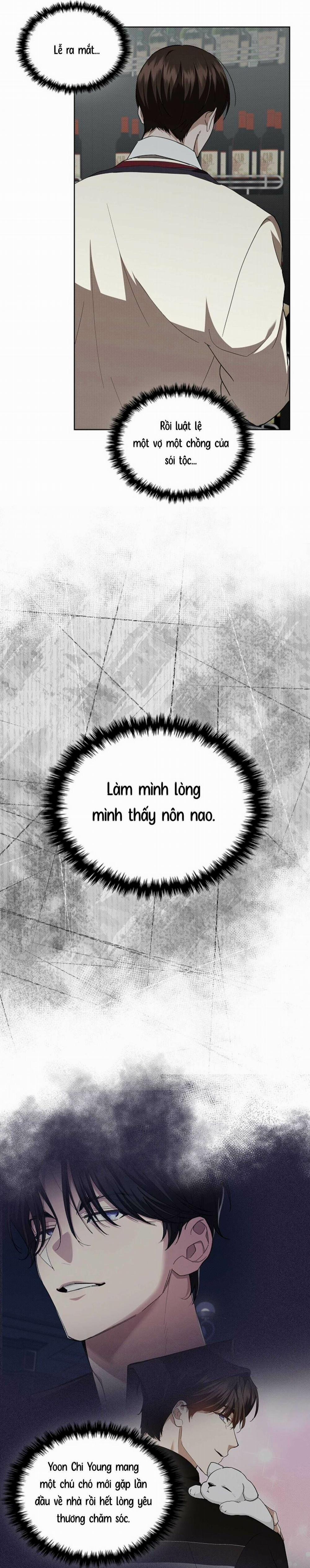 Đừng Chạm Vào Cún Con 29 trang 21