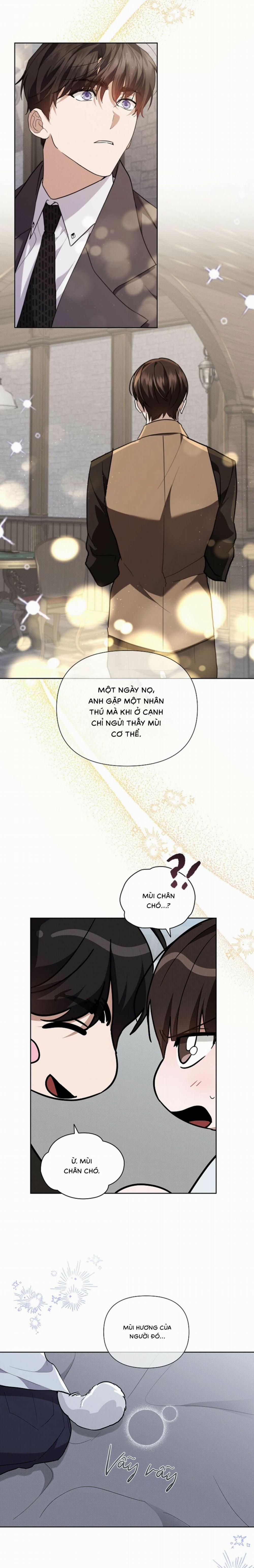 Đừng Chạm Vào Cún Con 30 trang 12