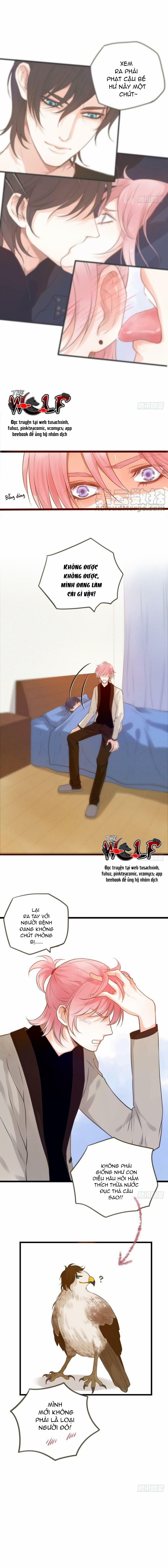 Đừng Chạm Vào Tôi 20 trang 4