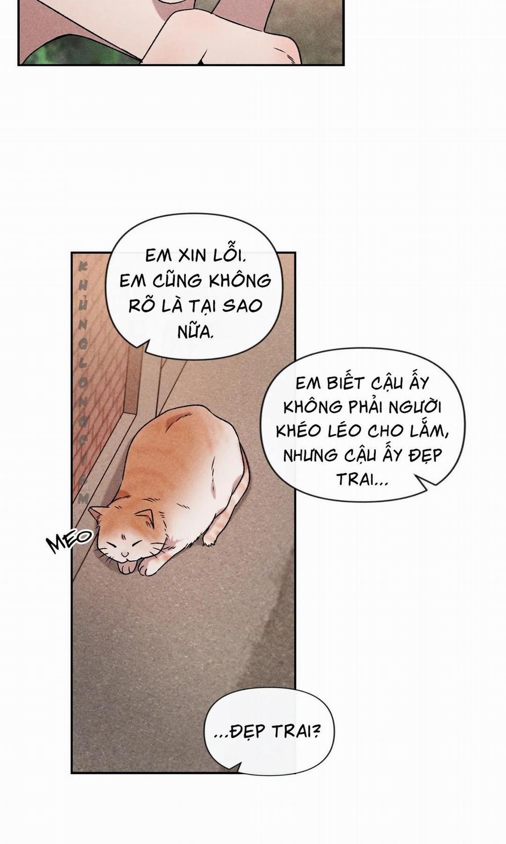 Đừng Cho Em Hy Vọng 28 trang 52