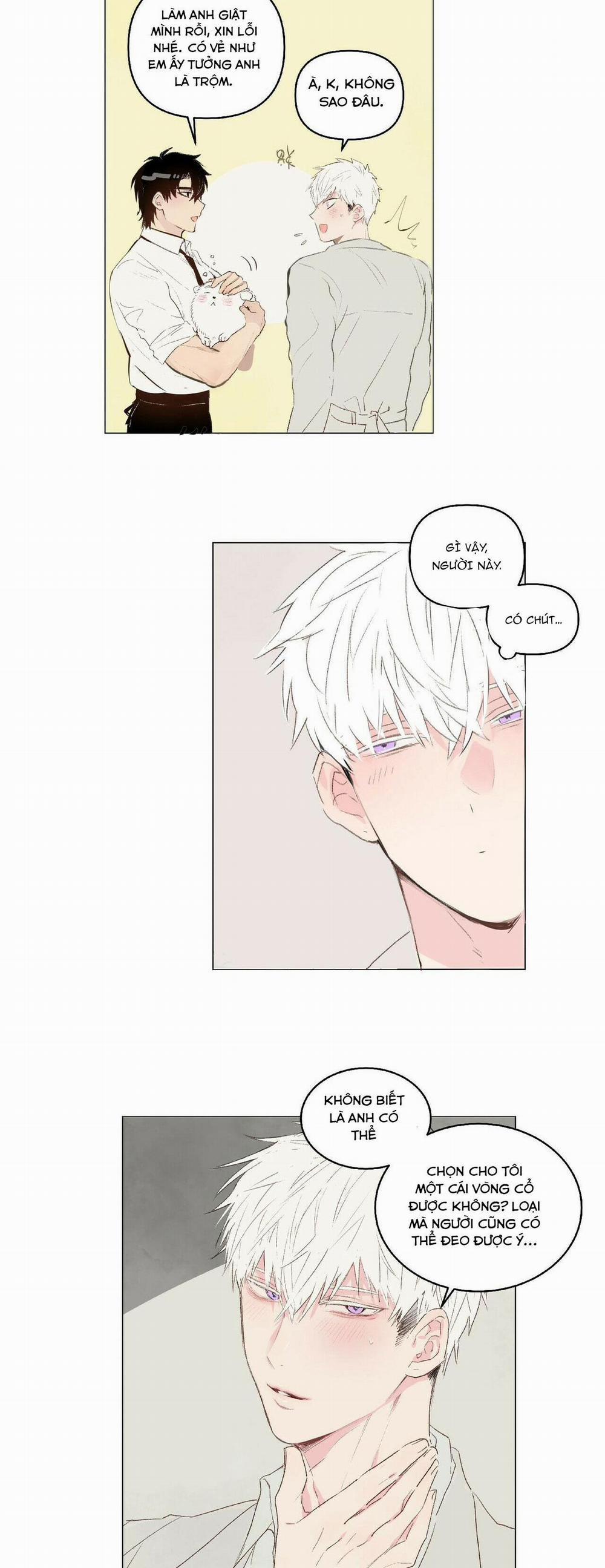 ĐỪNG ĐƯA DÂY XÍCH CHO ANH ẤY 7 trang 13