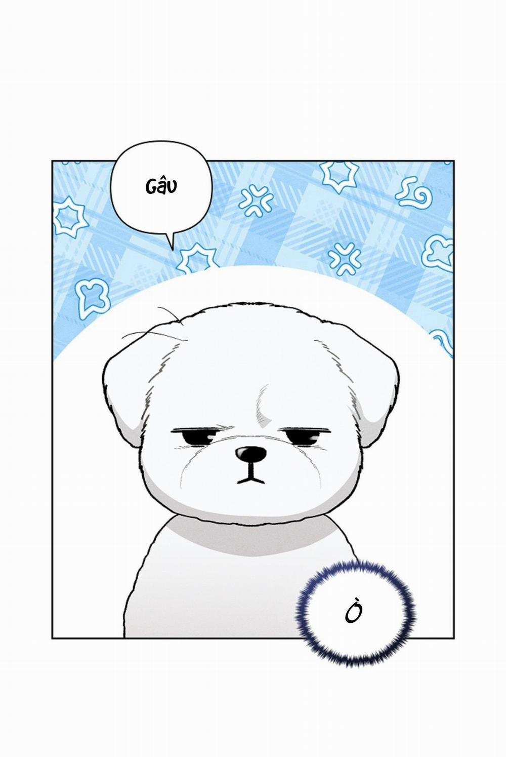 ĐỪNG ĐỤNG VÀO BÉ CÚN 2 trang 3