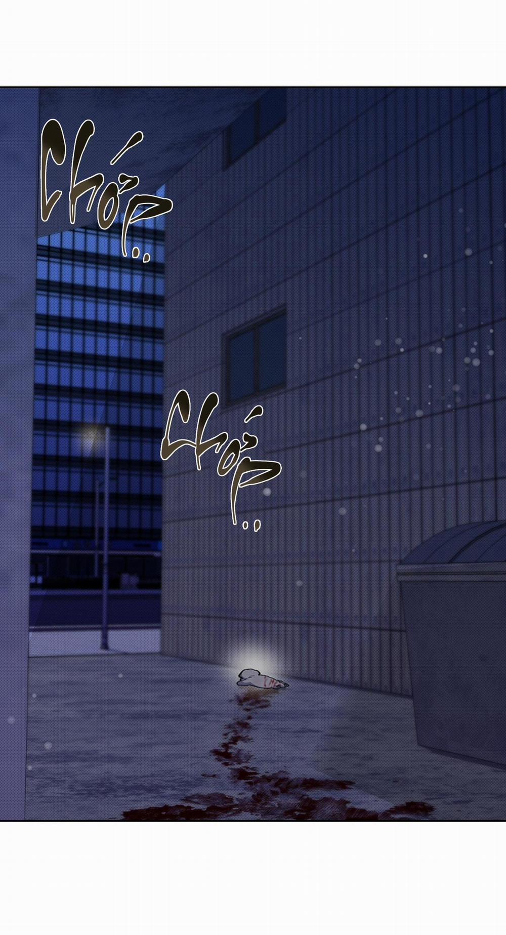 ĐỪNG ĐỤNG VÀO BÉ CÚN 3 trang 40