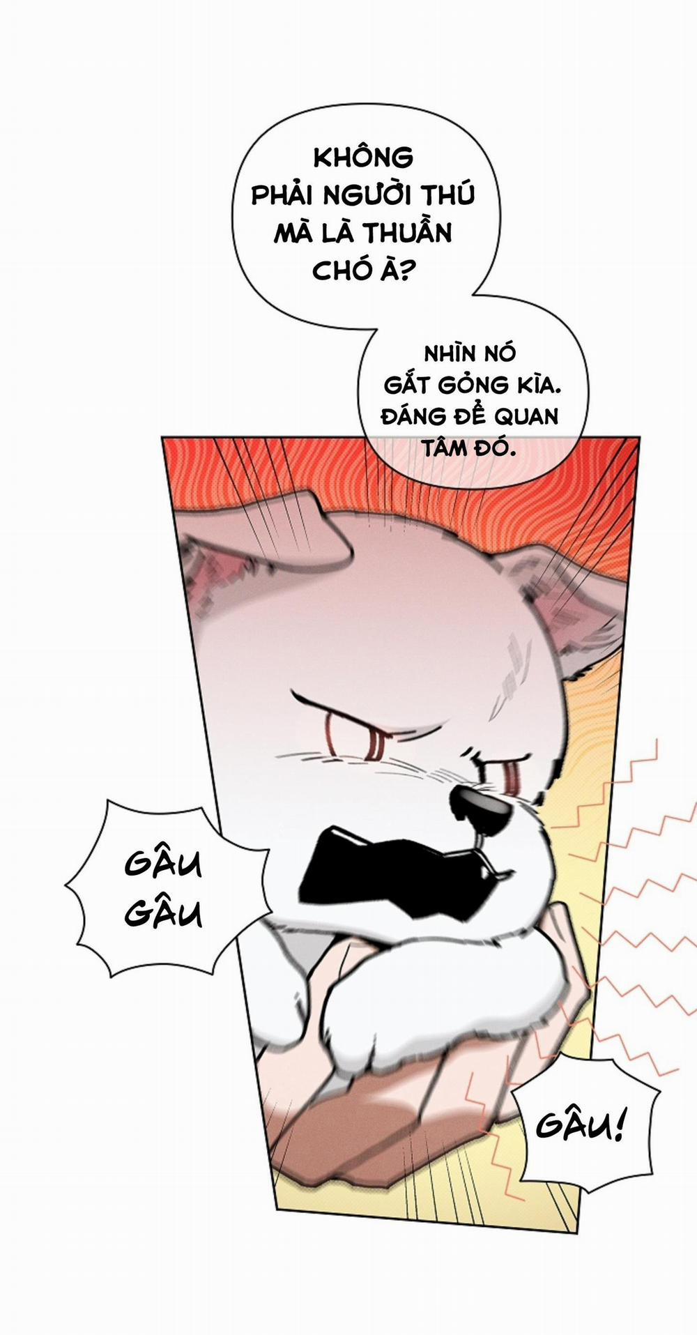 ĐỪNG ĐỤNG VÀO BÉ CÚN 5 trang 62