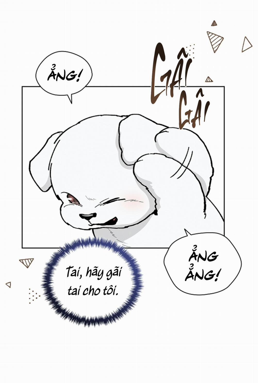 ĐỪNG ĐỤNG VÀO BÉ CÚN 6 trang 48