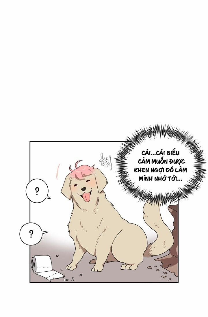 Đừng Lại Gần Giới Hạn 10m Của Tôi 5 trang 13