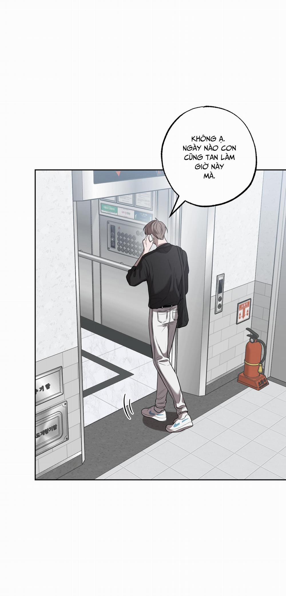 ĐỪNG NÓI LỜI GIAN DỐI 8 trang 38