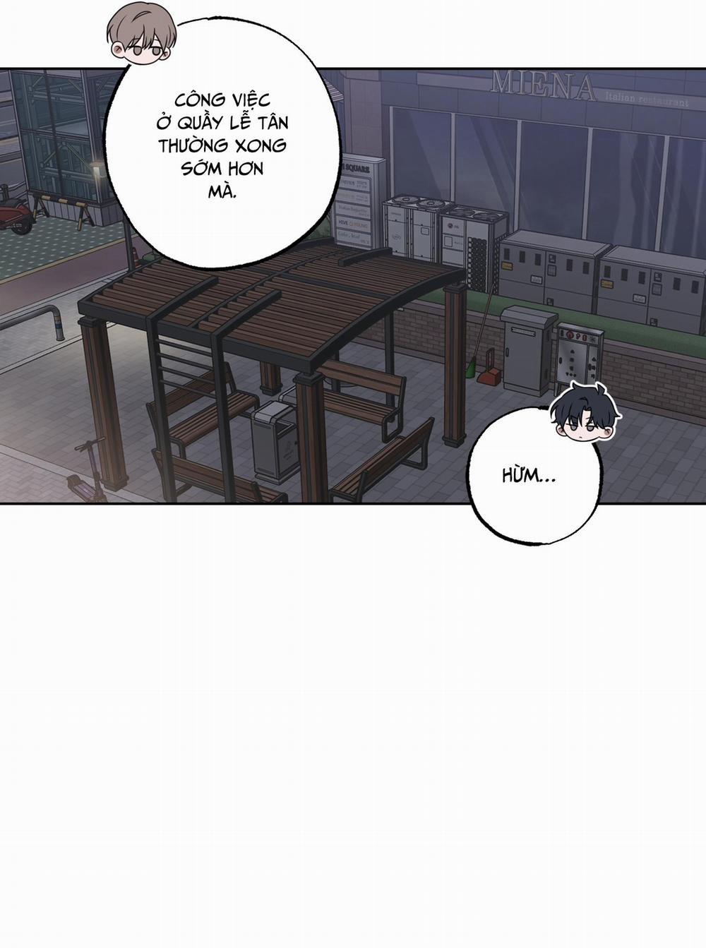 ĐỪNG NÓI LỜI GIAN DỐI 8 trang 47